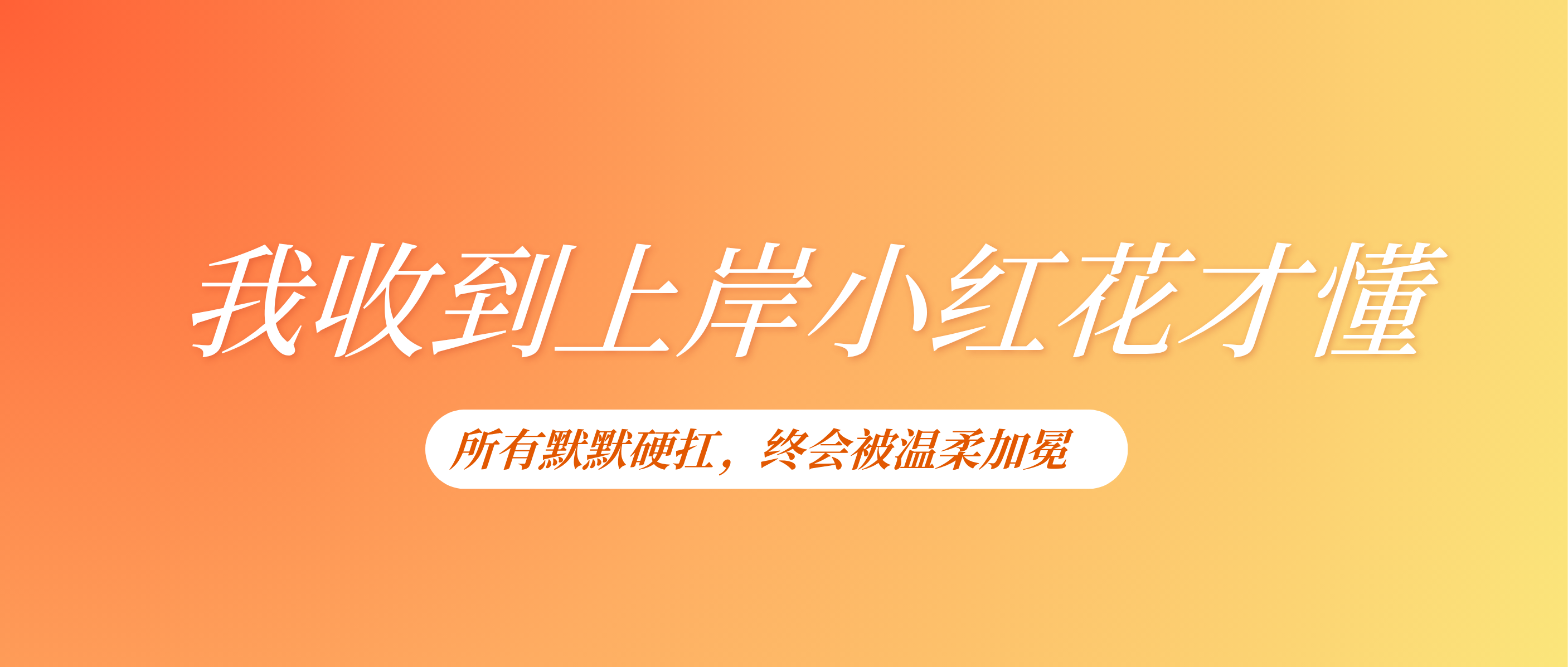 每一位上岸的同学，都值得嘉奖！